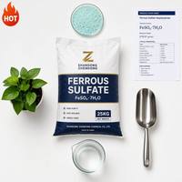 Sulfato Ferroso Heptahidratado FeSO4 7H2O 98% Producto Químico para Tratamiento de Agua
