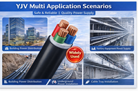 Cable de Alimentación de Bajo Voltaje YJV 4Cx 50mm2 con Aislamiento de PVC y Cubierta de PVC, Conductor de Cobre Trenzado para Computadora