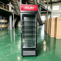 Réfrigérateur Commercial 300L à Porte Unique, Monotempérature, pour Boissons, Refroidissement Direct, Équipement de Réfrigération Domestique, Pratique