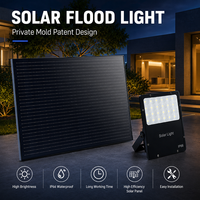 Nouvelle conception brevetée IP66, projecteur solaire extérieur haute luminosité, étanche, lumière de sécurité solaire LED pour jardin, cour, rue, mur