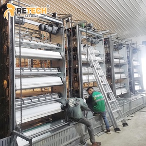 36,000 case di pollo sistema di sollevamento del pavimento della griglia per la batteria gabbia attrezzature con sistema di pulizia del letame - Product Image 4