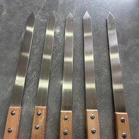 Brochettes plates en acier inoxydable de qualité alimentaire avec manche en bois naturel, réutilisables, pour kebab, barbecue et grillades de viande