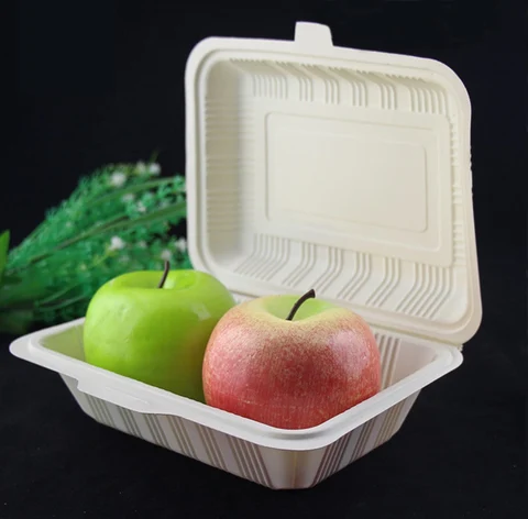 Eco Friendly Takeout Containers Take Home Compostable Clamshells