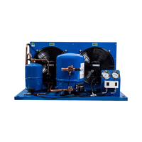 Unidad de Compresor para Cuarto Frío de 2HP 3HP 4HP 5HP a Precio de Fábrica