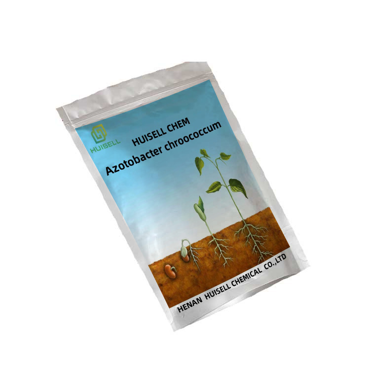 Биологические продукты, азотобактерия chroococcum 10 млрд CFU/g для сельского хозяйства