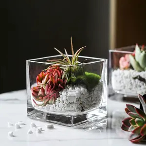 Vaso de vidro para flores, vaso de vidro quadrado para decoração de casa, casamento, 12x12cm 15x15cm 18x18cm