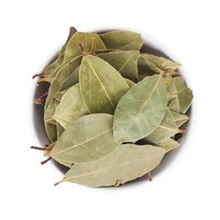 Feuilles de laurier séchées chinoises de haute qualité, fournies par l'usine Yue Gui