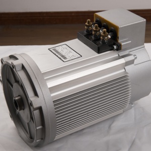 มอเตอร์ไฟฟ้ากระแสสลับ 48V 60V 72V 96V 108V 144V 312V 5KW สำหรับยานพาหนะและเรือทุกชนิด 48v 5kw มอเตอร์ไฟฟ้ากระแสสลับ 48v 48v 5kw - Product Image 2