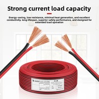 Kabel Kawat Elektronik PVC 300V Dua Warna Merah-Hitam yang Dapat Disesuaikan, Paralel Dua Baris untuk Lampu Strip LED Iklan