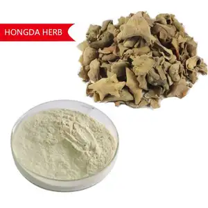 Hongda fornitura di fabbrica naturale estratto di Galla Chinensis acido tannico 92% estratto di Gallnut