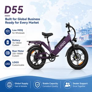 Bicicleta Eléctrica de Carga D55, Precio de Fábrica, E-MTB con Neumáticos Gruesos 20x4, Personalizable OEM para Transporte Comercial en México - Product Image 1