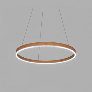 Schwarze Aluminium Leuchte Einkaufs geschäft Lampe 450mm Durchmesser 32w Treppe linearer Kreis Anhänger LED kreisförmigen Ring Licht - Product Image 2