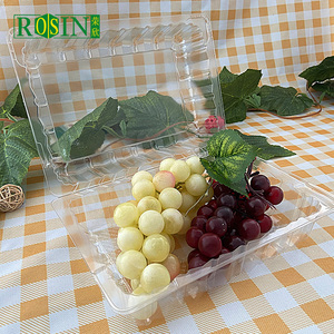 Sản Xuất Rõ Ràng Nhựa Dùng Một Lần Trái Cây <span class=keywords><strong>Container</strong></span> Bản Lề Nắp Trái Cây Tươi Vỏ Sò Trái Cây Đóng Gói Cho Rau Dâu Tây - Product Image 5