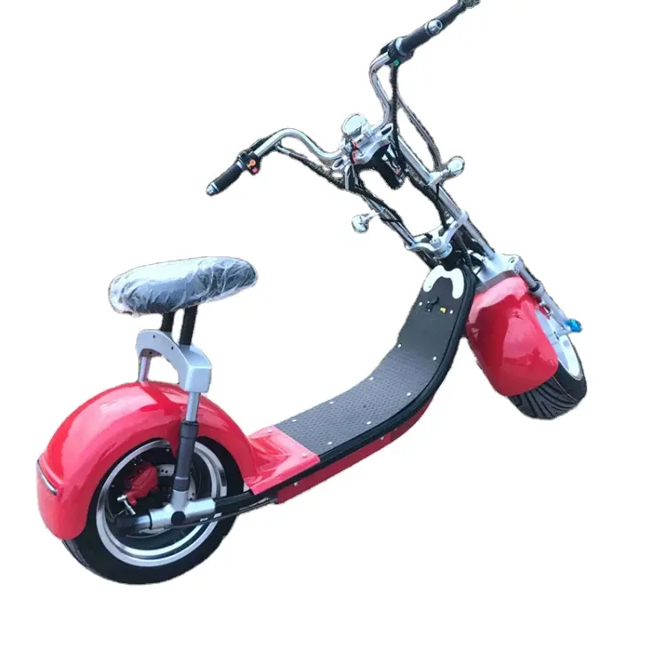 Scooter Bicicleta Electrica Bateria Loại Bỏ Gaea Thể Thao Xách Tay Đầy Đủ 2 Bánh Xe Điện Citycoco Cho Người Lớn Off Road Xe Máy