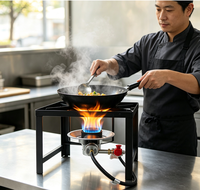 Réchaud à gaz portable en fonte légère de 13 lb, 50 000 BTU, haute pression, pour camping, pique-nique, wok, manuel