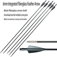 Pointes en acier pour arc classique en fibre composite de 6 mm, avec plumes moulées intégrées, fournies par le fabricant