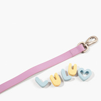 Set Kalung dan Tali Anjing PVC Anti Air Warna Macaron Menyala dalam Gelap untuk Anjing Kecil Sedang Besar Grosir
