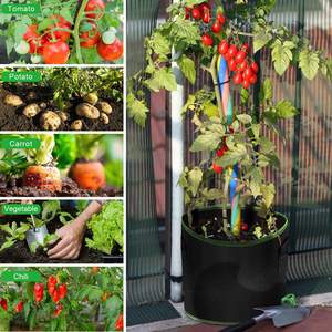 Bolsas <span class=keywords><strong>OEM</strong></span> personalizadas de 5 galones para plantas de jardín, bolsas de tela no tejida de fieltro de alta resistencia para cultivo de patatas y verduras - Product Image 4