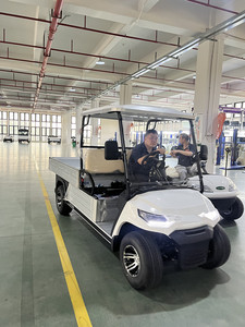 Boşaltma yatağı ile büyük yükleme yeteneği kargo buggy elektrikli araç - Product Image 5