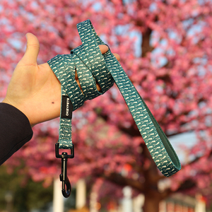 OKEYPETS-Correa transpirable con doble capa y logotipo personalizado, correa para correr con absorción del sudor para cachorro - Product Image 2