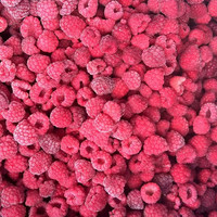 Iqf Bevroren Verse Frambozenfruit Bevroren Frambozen Bulkstijl Verpakking Cif Fca Fob Cfr Exw