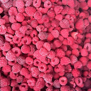 IQF-fruta fresca de frambuesa congelada, embalaje a granel, estilo de Raspberry a granel, formato de aleta de calidad de la fruta, envío a través de la FCA FOB CFR - Product Image 3
