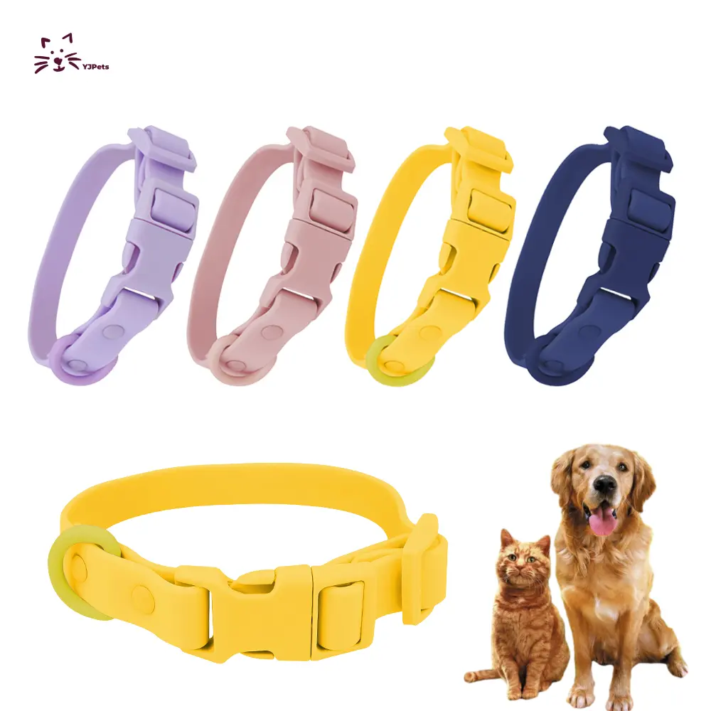 Livraison rapide en plein air en silicone personnalisé collier de chat laisse de chien de compagnie Pvc collier de chien étanche