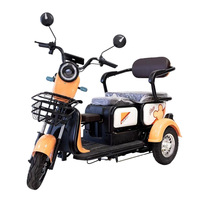 Tricycle électrique cargo à carrosserie ouverte, trois vitesses variables, capacité de charge de 100 kg, autonomie de 30 km, longue durée de vie