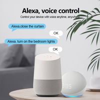 Panneau de contrôle intelligent pour la maison Zigbee Tuya de 10,1 pouces, panneau passerelle, deux zones, lecture de musique, connexion avec 8 haut-parleurs de plafond filaires