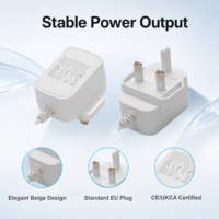 Alimentation à découpage personnalisée 5V 3A 15W certifiée UKCA CE, adaptateur mural AC/DC pour importateurs B2B, routeur de sécurité CCTV, sortie stable