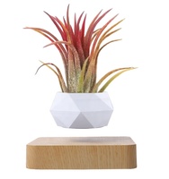 Pot de fleurs/vase à plantes flottant à lévitation magnétique en plastique ABS de style chinois moderne pour la décoration intérieure