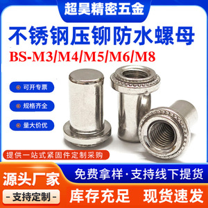 Tuercas Remachables de Acero Inoxidable Chaohao M3 M4 M5 M6 M8 Métricas con Brida Selladas e Impermeables para la Industria de la Construcción - Product Image 5