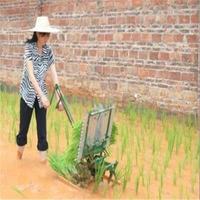 Semoir manuel Birui à 2 rangs pour riz – Machine agricole à pousser pour la plantation de semences de riz paddy