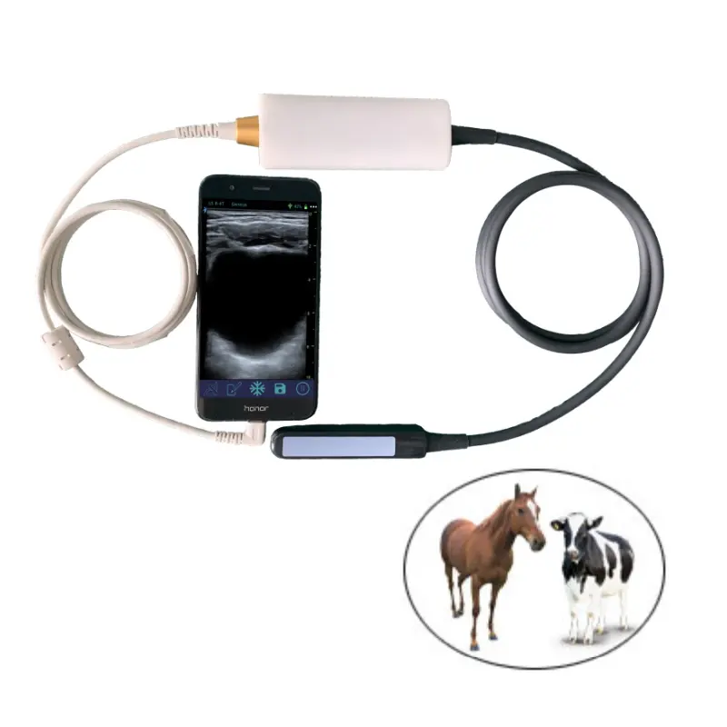 USB USG Bovins Cheval Vétérinaire Équipement Médical Sans Fil Rectal Linéaire Animal Vétérinaire Portable Échographie