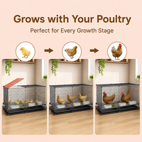 Cage à poulets et cailles en métal et plastique renforcés, grande taille, pour usage domestique en intérieur, structure en fil métallique pour toutes les saisons