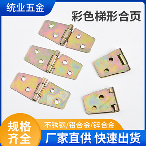 Furniture Hinge Stainless Steel Surface Mount Antirust Traditional Design Ty 1020 - Product Image 5