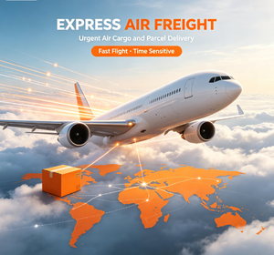 Servizio Logistico Economico Cina-Regno Unito via Mare, Fornitore DDP, Servizio di Catena di Approvvigionamento Completo, Conforme agli Nuovi Regolamenti Fiscali UE - Product Image 1