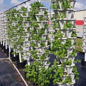 Systèmes d'agriculture verticale : Pots à fraises empilables utilisables avec des plantes à fleurs/vertes, pour culture hydroponique et en terre – CLASSIQUE (Ne prend pas en charge la culture en sol) - Product Image 4