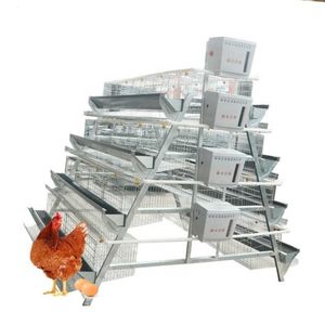 Peralatan pertanian lapisan unggas baru, 4 tingkat Tipe A baterai otomatis Hot-Dip galvanis ayam ayam ayam bertelur kandang ayam - Product Image 2