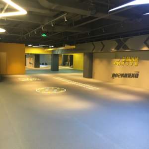 Tapis de gymnastique en mousse pour cheerleaders, tapis en rouleau, tapis de gymnastique, vente chaude - Product Image 4