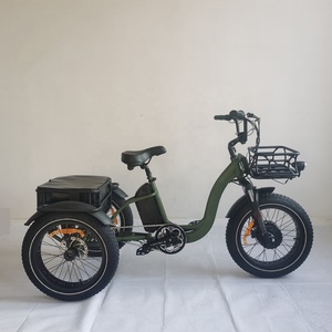 <span class=keywords><strong>Vélo</strong></span> électrique à trois roues motrices avant 2025 avec panier 750w gros pneu Cargo <span class=keywords><strong>vélo</strong></span> électrique - Product Image 6