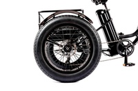 Triciclos Motorizados de 48 V y 500 W para Adultos, Bicicleta Eléctrica de Tres Ruedas Grandes, Neumáticos Gruesos de 24 20X4.0 Pulgadas, Triciclo de Carga Eléctrico