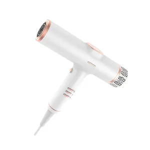 Factory Wholesale Low Price Negative Ion Professional Hair Dryer 1200W Hair DryerFactory Customized High-end Quality Low-price N