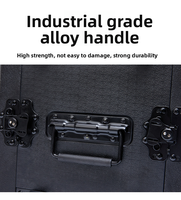 Boîtier de transport antichoc en plastique PE moulé pour amplificateur audio, fourni par l'usine, 2U 4U 6U 8U 12U 14U, pour équipement audiovisuel et DJ