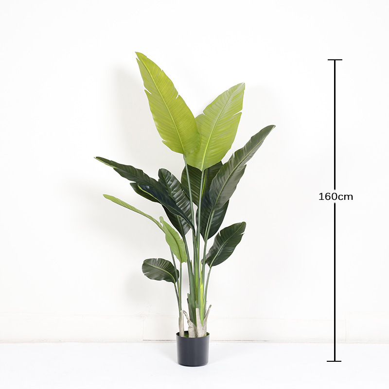 160cm