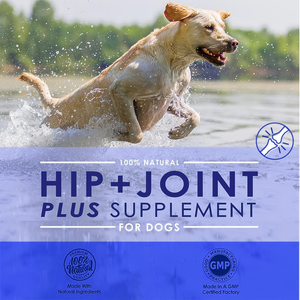 Gelişmiş Pet sağlık takviyesi köpeğin artrit kabartma kalça displazi desteği için glukozamin tozu azaltılmış inflamasyon - Product Image 2