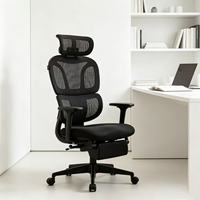 Envío Gratis desde Almacén en EE. UU. Silla de Oficina Ejecutiva Ergonómica Giratoria de Malla con Reposacabezas y Reposabrazos Ajustables para Computadora