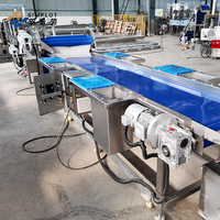 Ligne de lavage à bulles d'air commerciale, laveuse de fruits et légumes à haute pression et à l'ozone, équipement de nettoyage pour la transformation alimentaire
