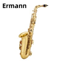 SAX Alto Drop E Saxophone Instrument Brass Brushed Blue Lacquer Beginner Playing Style Y-AS-860