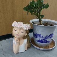 Ornement de jardin en résine, figurine en résine peinte à la main, pots artisanaux, résistant à la décoloration par tous les temps, pot de terreau pour bonsaï, décoration